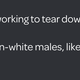 Illustration for article titled Madison Cawthorn, Republican Rising Star, Claims Hes Not Racist After Creating Racist Website